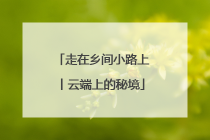 走在乡间小路上丨云端上的秘境