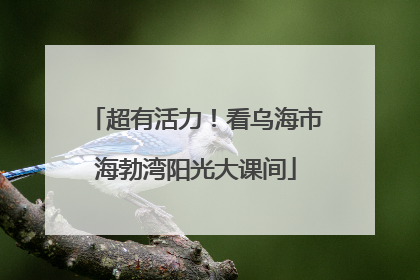 超有活力！看乌海市海勃湾阳光大课间