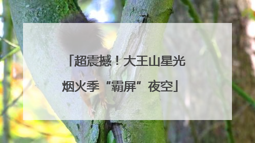 超震撼！大王山星光烟火季“霸屏”夜空