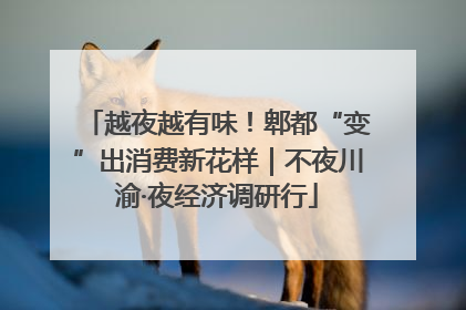 越夜越有味！郫都“变”出消费新花样｜不夜川渝·夜经济调研行