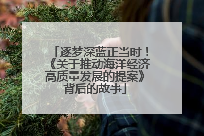 逐梦深蓝正当时！《关于推动海洋经济高质量发展的提案》背后的故事