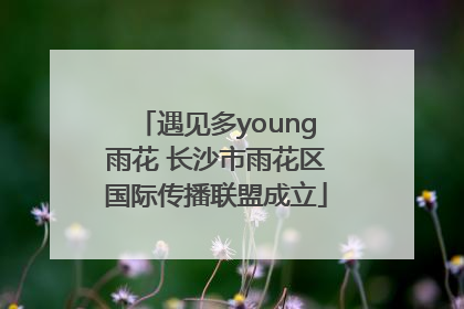 遇见多young雨花 长沙市雨花区国际传播联盟成立