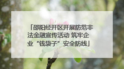 邵阳经开区开展防范非法金融宣传活动 筑牢企业“钱袋子”安全防线