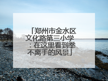 郑州市金水区文化路第三小学：在这里看到拳不离手的风景