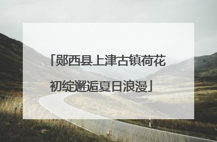 郧西县上津古镇荷花初绽邂逅夏日浪漫