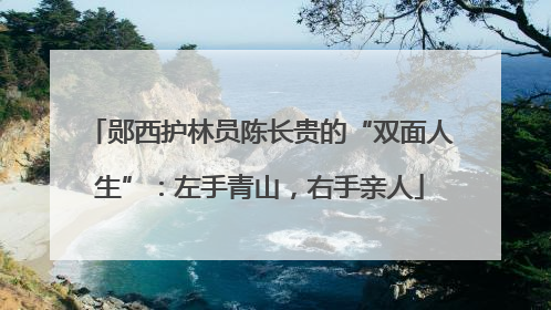 郧西护林员陈长贵的“双面人生”：左手青山，右手亲人
