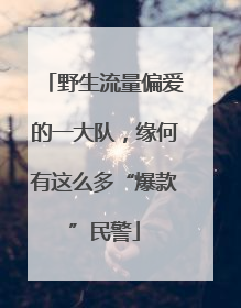 野生流量偏爱的一大队，缘何有这么多“爆款”民警
