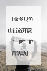 金乡县鱼山街道开展“三防”护苗活动