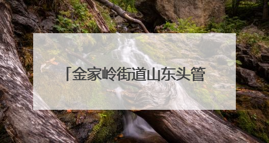 金家岭街道山东头管区开展端午节主题活动 传递敬老温情