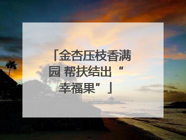 金杏压枝香满园 帮扶结出“幸福果”