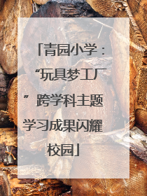 青园小学：“玩具梦工厂”跨学科主题学习成果闪耀校园