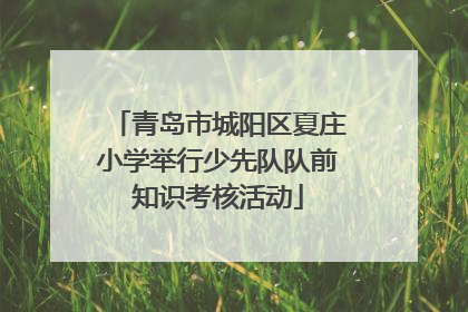 青岛市城阳区夏庄小学举行少先队队前知识考核活动