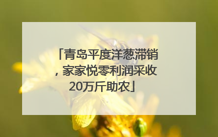 青岛平度洋葱滞销，家家悦零利润采收20万斤助农
