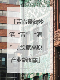青岛援藏妙笔“青”“清”，绘就高原产业新图景
