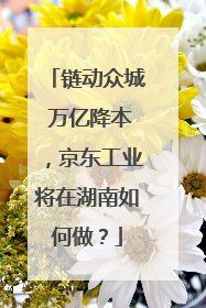 链动众城 万亿降本，京东工业将在湖南如何做？