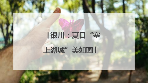 银川：夏日“塞上湖城”美如画