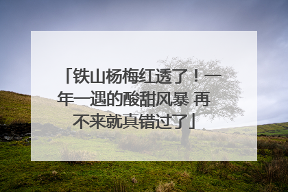 铁山杨梅红透了！一年一遇的酸甜风暴 再不来就真错过了
