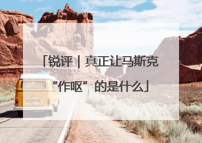 锐评｜真正让马斯克“作呕”的是什么