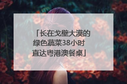 长在戈壁大漠的绿色蔬菜38小时直达粤港澳餐桌