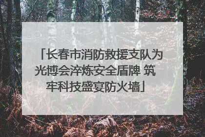 长春市消防救援支队为光博会淬炼安全盾牌 筑牢科技盛宴防火墙