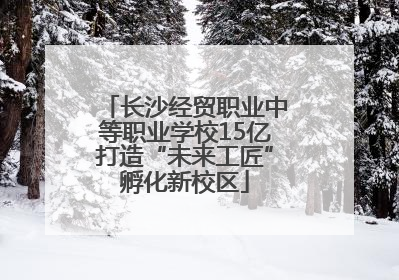 长沙经贸职业中等职业学校15亿打造“未来工匠”孵化新校区