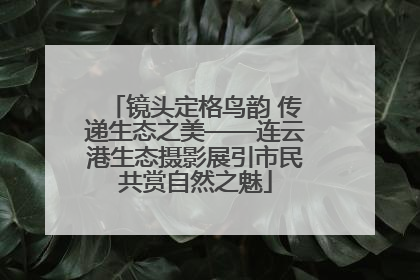 镜头定格鸟韵 传递生态之美——连云港生态摄影展引市民共赏自然之魅