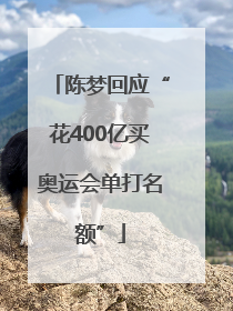 陈梦回应“花400亿买奥运会单打名额”