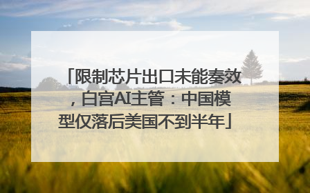 限制芯片出口未能奏效，白宫AI主管：中国模型仅落后美国不到半年