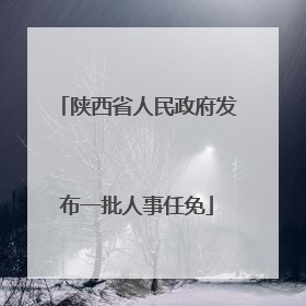 陕西省人民政府发布一批人事任免