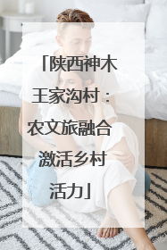 陕西神木王家沟村：农文旅融合 激活乡村活力