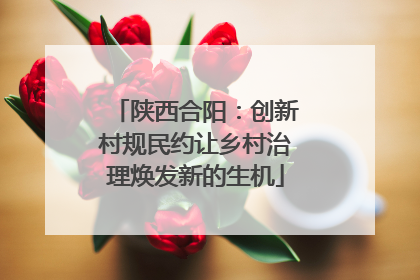 陕西合阳：创新村规民约让乡村治理焕发新的生机