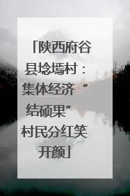陕西府谷县埝墕村：集体经济“结硕果” 村民分红笑开颜