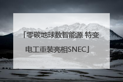 零碳地球数智能源 特变电工重装亮相SNEC