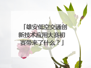 雄安低空交通创新技术应用大赛初赛带来了什么？