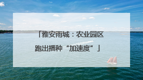 雅安雨城：农业园区跑出播种“加速度”