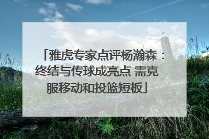 雅虎专家点评杨瀚森：终结与传球成亮点 需克服移动和投篮短板