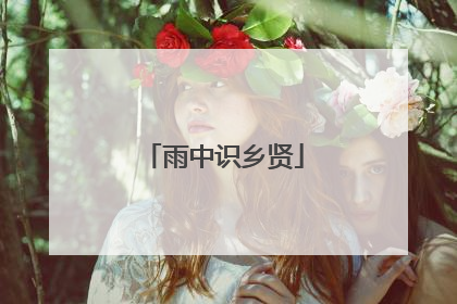 雨中识乡贤