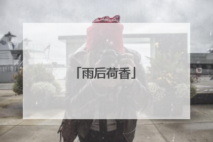 雨后荷香
