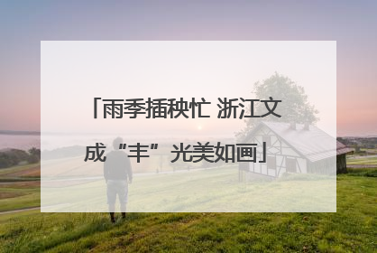 雨季插秧忙 浙江文成“丰”光美如画