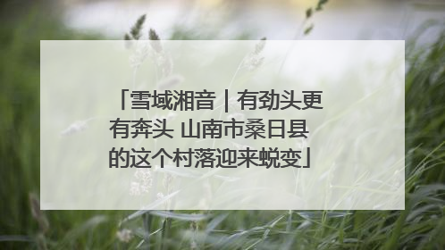 雪域湘音｜有劲头更有奔头 山南市桑日县的这个村落迎来蜕变