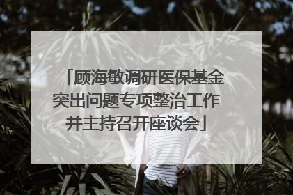 顾海敏调研医保基金突出问题专项整治工作并主持召开座谈会