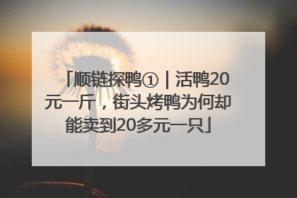 顺链探鸭①｜活鸭20元一斤，街头烤鸭为何却能卖到20多元一只