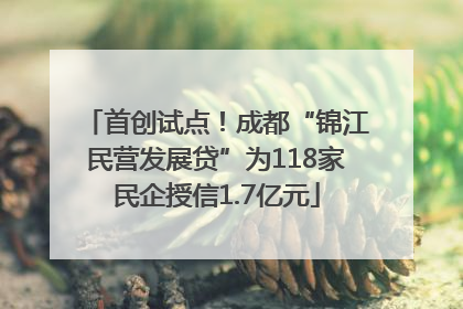 首创试点！成都“锦江民营发展贷”为118家民企授信1.7亿元