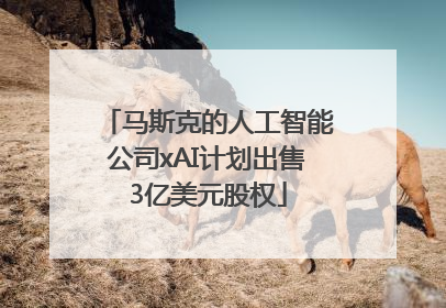 马斯克的人工智能公司xAI计划出售3亿美元股权