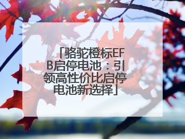 骆驼橙标EFB启停电池：引领高性价比启停电池新选择