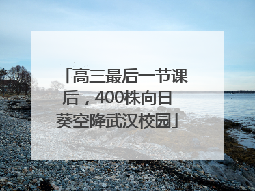 高三最后一节课后，400株向日葵空降武汉校园