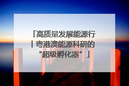 高质量发展能源行丨粤港澳能源科研的“超级孵化器”