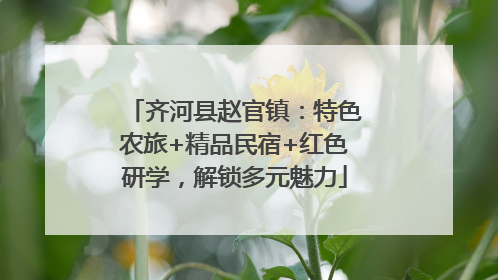 齐河县赵官镇：特色农旅+精品民宿+红色研学，解锁多元魅力