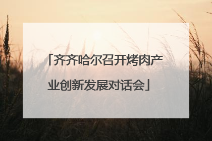 齐齐哈尔召开烤肉产业创新发展对话会