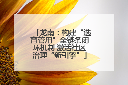龙南：构建“选育管用”全链条闭环机制 激活社区治理“新引擎”